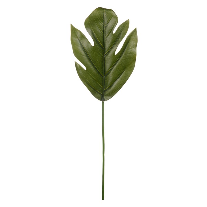Искусственная ветка «Пальмовый лист», высота 56 cм, цвет зелёный - Фото 1