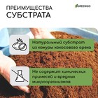 Субстрат кокосовый, универсальный, для террариумов и растений, в брикете, 65 л, 30% чипсы и 70% торф, Greengo - Фото 3
