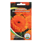 Семена цветов Календула "Фиеста" оранжевая 0,2 г - фото 320935440