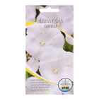 Семена цветов Лаватера "Белая", 0,1 г - Фото 1