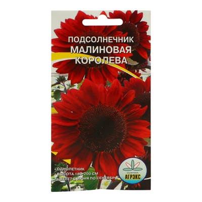 Семена цветов подсолнечник «Малиновая королева», 10 шт.