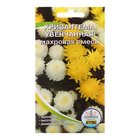 Семена цветов Хризантема увенчанная махровая "Смесь", 0,1 г - Фото 1