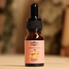 Эфирное масло «Сочное манго», удобный дозатор, 10 мл «Добропаровъ» - Фото 2