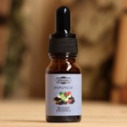 Эфирное масло «Яблоко и ежевика», удобный дозатор, 10 мл «Добропаровъ» - Фото 2