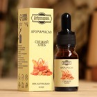 Эфирное масло «Свежий хлеб», удобный дозатор, 10 мл «Добропаровъ» - Фото 1