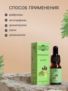 Эфирное масло «Абсент», удобный дозатор, 10 мл «Добропаровъ» - Фото 3