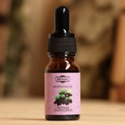 Эфирное масло «Чёрная смородина», удобный дозатор, 10 мл «Добропаровъ» - Фото 2