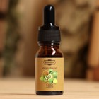 Эфирное масло «Киви и лайм», удобный дозатор, 10 мл «Добропаровъ» - Фото 2