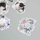 Наклейки для творчества "Коты в цветах" 8х8 см набор 45 шт 0,5х14,5х9,4 см - фото 23524615