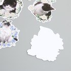 Наклейки для творчества "Коты в цветах" 8х8 см набор 45 шт 0,5х14,5х9,4 см - фото 23524616