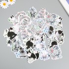 Наклейки для творчества "Коты в цветах" 8х8 см набор 45 шт 0,5х14,5х9,4 см - фото 23524617