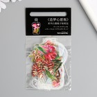 Наклейки для творчества "Банки, феи и цветы" 10х10 см н-р 40 шт 0,3х15,5х8,5 см - фото 23524623