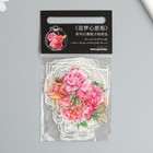 Наклейки для творчества "Банки, феи и пионы" 10х10 см н-р 40 шт 0,3х15,5х8,5 см - фото 23524633