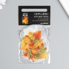 Наклейки для творчества "Банки, феи и листья" 10х10 см н-р 40 шт 0,3х15,5х8,5 см - фото 23524638