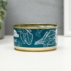 Растущий подарок травка растим дома на балконе "Микрозелень Редис" - фото 23510826