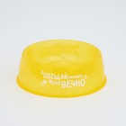 Миска пластиковая «Обещай кормить меня вечно», 300 мл, желтый - Фото 2