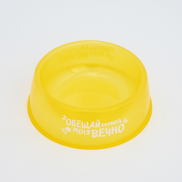 Миска пластиковая «Обещай кормить меня вечно», 300 мл, желтый