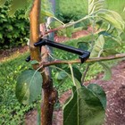 Веткодержатель, h=13 см, подпорка для деревьев, голубой, Greengo - Фото 8