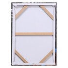Картина - холст на подрамнике «Миджиси-орлица», 50×70 см - Фото 3