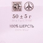 Шерсть для валяния 100% тонкая шерсть 50гр (698-Т.фиолетовый) - Фото 4