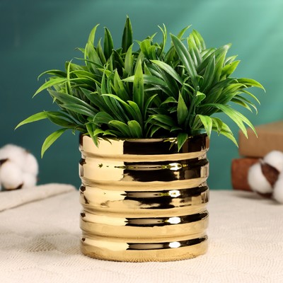 Кашпо «Золотые грани» 10×10×10 см