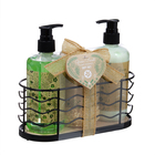 Подарочный набор Green Forest: гель для душа 290 мл, лосьон 290 мл, мочалка - фото 23502092