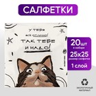 Салфетки бумажные  25*25см "Коты" (набор 20 шт) - фото 2938834