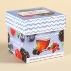 Набор «Ягодный взрыв»: чай чёрный со вкусом лесных ягод 50 г., леденцы с фруктовым вкусом 100 г. - Фото 4