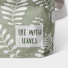 Органайзер для белья Доляна Leaves, 2 ячейки, 22×13×11 см, цвет зелёный - Фото 4