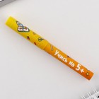 Ручка прикол шариковая синяя паста 0.7 мм с колпачком «1 сентября: Учись на 5+» пластик - Фото 6