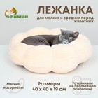 Лежанка для животных "Облако", 40*19 см, бело-персиковая 9947113 - фото 1635710