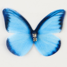 Декор для творчества «Бабочка», двухслойный, набор 12 шт., размер 1 шт. — 5 × 4 см, цвет голубой - фото 11109241