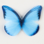 Декор для творчества «Бабочка», двухслойный, набор 12 шт., размер 1 шт. — 5 × 4 см, цвет голубой - Фото 4