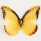 Декор для творчества «Бабочка», двухслойный, набор 12 шт., размер 1 шт. — 5 × 4 см, цвет жёлтый - Фото 3