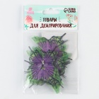 Декор для творчества "Бабочка - Хохлатка", двухслойный, набор 12 шт, размер 1 шт 5*5 см - фото 809301387