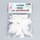 Декор для творчества "Бабочка", трехслойный, набор 12 шт,размер 1 шт 5*4,5 см, цвет белый - фото 809301388