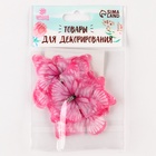 Декор для творчества "Бабочка", двухслойный, набор 12 шт, размер 1 шт 5*4 см, цвет розовый - фото 809301390