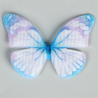 Декор для творчества «Бабочка», двухслойный, набор 12 шт., размер 1 шт. — 5 × 4 см, цвет голубой - фото 11109308