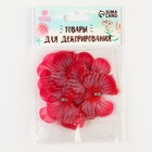 Декор для творчества "Бабочка", двухслойный, набор 12 шт, размер 1 шт 5*4 см, цвет красный - фото 809301393