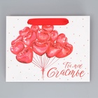 Пакет подарочный ламинированный, упаковка, «Ты моё счастье», MS 23 х 18 х 10 см 9945320