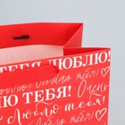 Пакет подарочный ламинированный горизонтальный, упаковка, «Люблю», MS 23 х 18 х 10 см 9945325 - фото 13851164