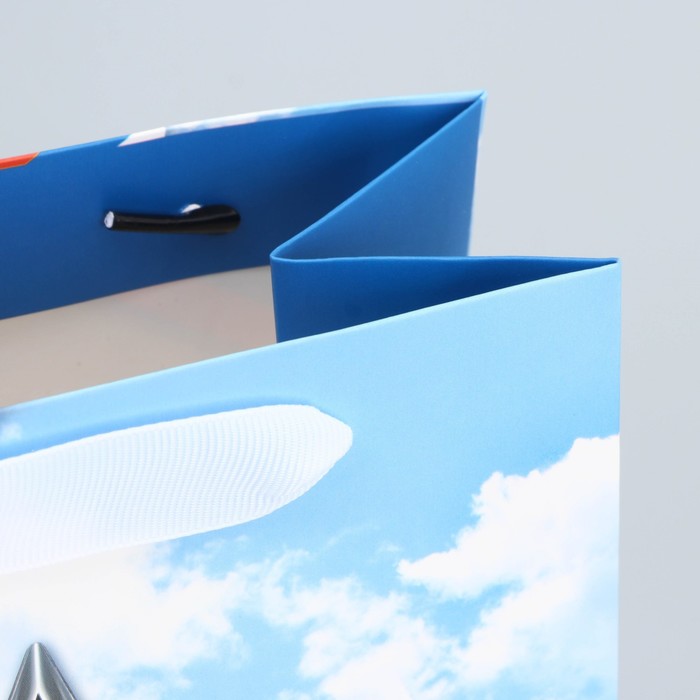 Пакет подарочный ламинированный вертикальный, упаковка, «Мирное небо», MS 18 х 23 х 10 см - фото 1909450546