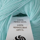 Пряжа "Волшебное детство" импортная шерсть 100% 220м/50гр  (411-Мята) - фото 23510918