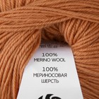 Пряжа "Волшебное детство"  импортная шерсть 100% 220м/50гр (124-Песочный) - фото 23510938