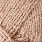 Пряжа для вязания спицами, крючком «Камтекс. Лори», 45% акрил, 30% нейлон, 25% ПЭ, 170 м/50 г, (007 лён) - фото 23511012