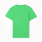 Футболка мужская, цвет ярко-зеленый, размер 52 - Фото 9