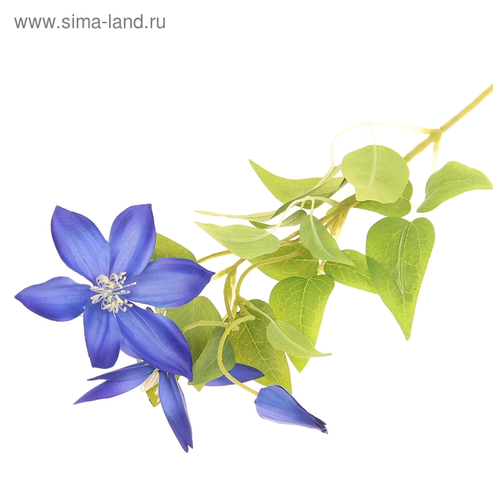 цветы искусственные клематис синий 70 см d-10 см - Фото 1