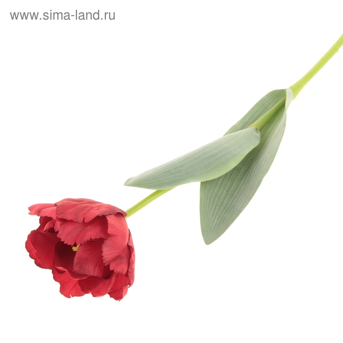 цветы искусственные тюльпан волна красный 60 см - Фото 1