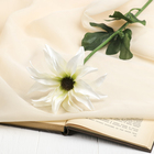 цветы искусственные георгин белый 68 см - Фото 1