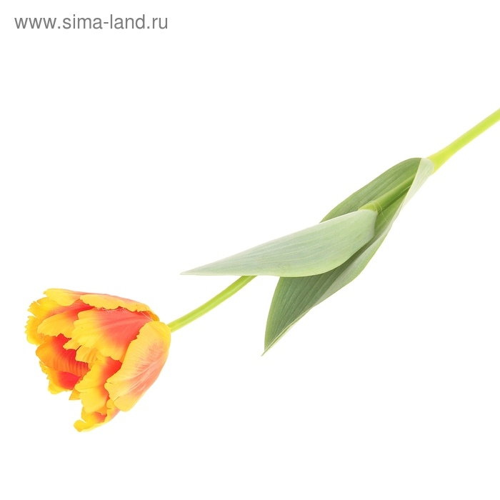 цветы искусственные тюльпан волна желто красный 60 см - Фото 1